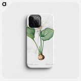 Cardwell lily illustration - Pierre Joseph Redouté Phone Case.