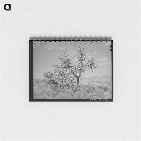 アートメモ帳-Lombardy Poplars, Utah
 - ラッセル リー Memo.