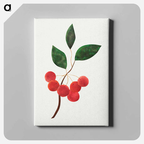 アートパネル-Siberian Apple
 - クリーブランド美術館 Canvas.