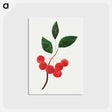 アートポストカード-Siberian Apple
 - クリーブランド美術館 Postcard.