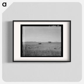 アートポスター-Abandoned tenant house and large-scale wheat field near Kincaid, Texas - ドロテア ラング Poster.