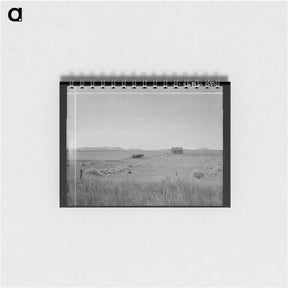 アートメモ帳-Abandoned tenant house and large-scale wheat field near Kincaid, Texas - ドロテア ラング Memo.