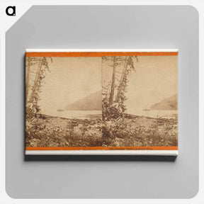 アートパネル-Steamer Pacific, in Safety Cove
 - エドワード マイブリッジ Canvas.