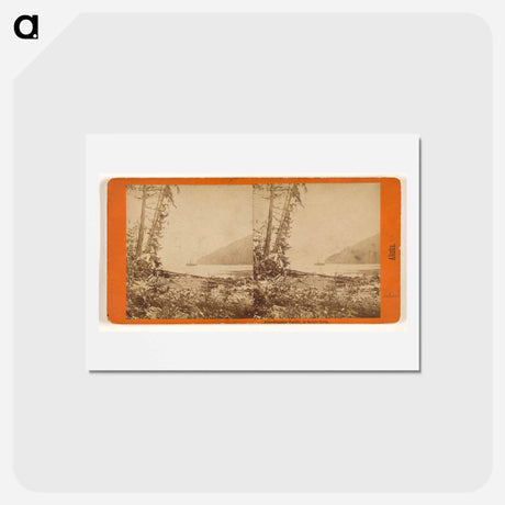 アートポストカード-Steamer Pacific, in Safety Cove
 - エドワード マイブリッジ Postcard.
