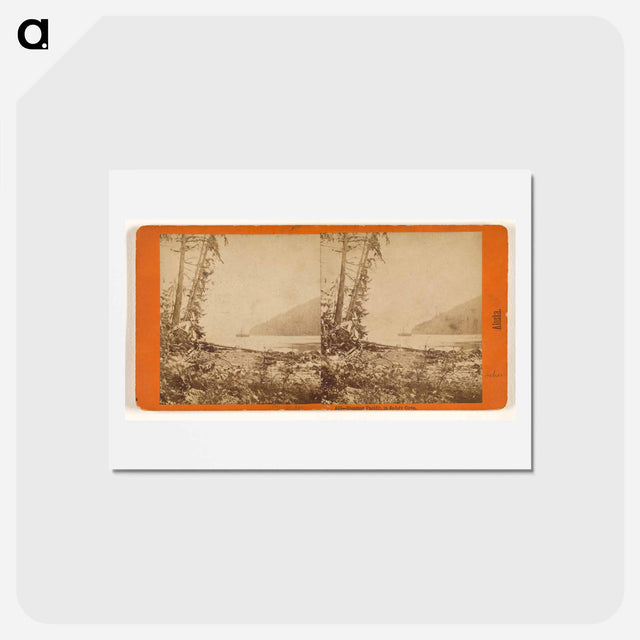 アートポストカード-Steamer Pacific, in Safety Cove
 - エドワード マイブリッジ Postcard.