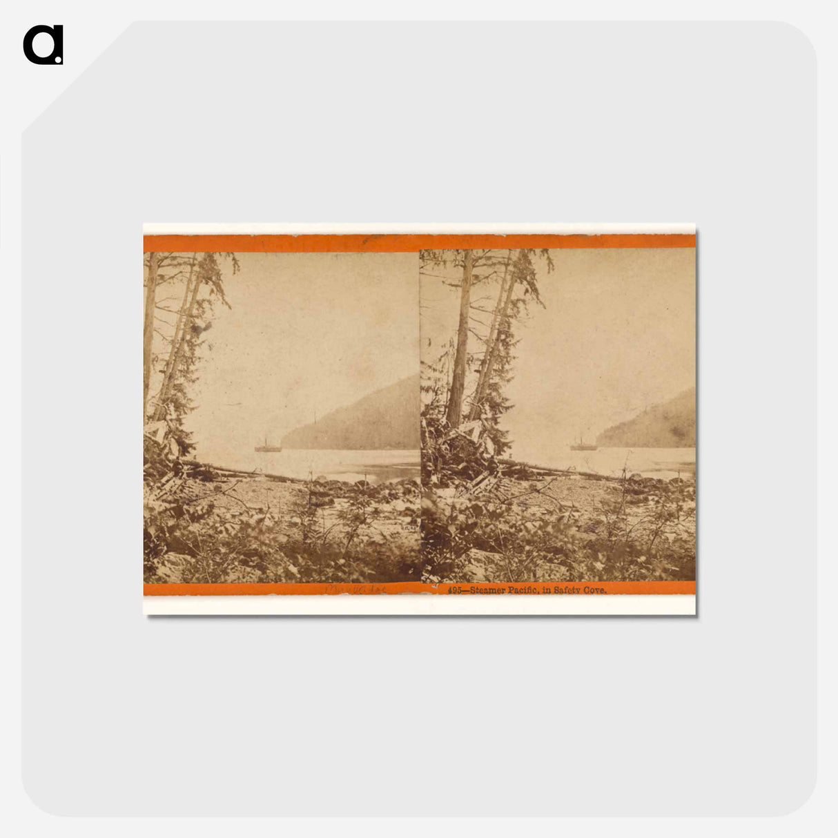 アートポストカード-Steamer Pacific, in Safety Cove
 - エドワード マイブリッジ Postcard.