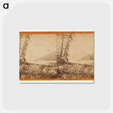 アートポストカード-Steamer Pacific, in Safety Cove
 - エドワード マイブリッジ Postcard.