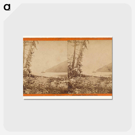 アートポストカード-Steamer Pacific, in Safety Cove
 - エドワード マイブリッジ Postcard.