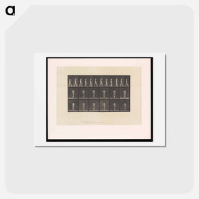 アートポストカード-Woman with Back Brace
 - エドワード マイブリッジ Postcard.
