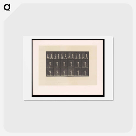 アートポストカード-Woman with Back Brace
 - エドワード マイブリッジ Postcard.
