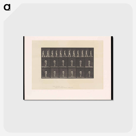 アートポストカード-Woman with Back Brace
 - エドワード マイブリッジ Postcard.