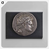 アートパネル-Head of Perseus
 - セントルイス美術館 Canvas.