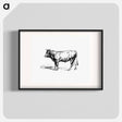 アートポスター-Cow from The Austro-Hungarian Monarchy In Speech And Image
 - 大英図書館 Poster.