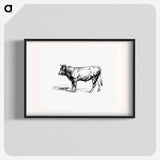 アートポスター-Cow from The Austro-Hungarian Monarchy In Speech And Image
 - 大英図書館 Poster.