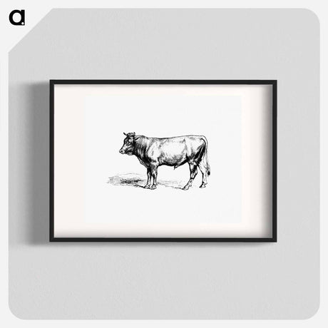 アートポスター-Cow from The Austro-Hungarian Monarchy In Speech And Image
 - 大英図書館 Poster.