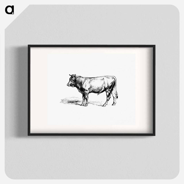 アートポスター-Cow from The Austro-Hungarian Monarchy In Speech And Image
 - 大英図書館 Poster.
