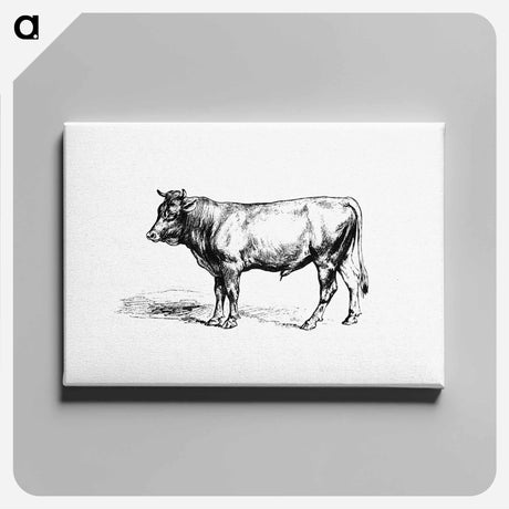 アートパネル-Cow from The Austro-Hungarian Monarchy In Speech And Image
 - 大英図書館 Canvas.