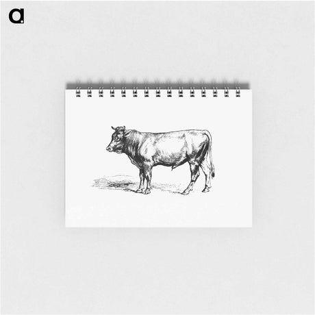 アートメモ帳-Cow from The Austro-Hungarian Monarchy In Speech And Image
 - 大英図書館 Memo.