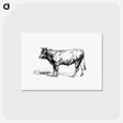 アートポストカード-Cow from The Austro-Hungarian Monarchy In Speech And Image
 - 大英図書館 Postcard.