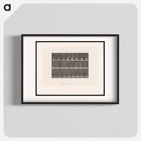 アートポスター-Tennis Sequence
 - エドワード マイブリッジ Poster.