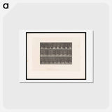 アートポストカード-Tennis Sequence
 - エドワード マイブリッジ Postcard.