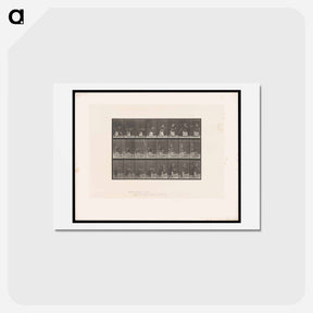 アートポストカード-Tennis Sequence
 - エドワード マイブリッジ Postcard.
