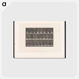 アートポストカード-Tennis Sequence
 - エドワード マイブリッジ Postcard.