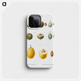 Common plums, Prunus domestica, from the traits of arbustes and arbustes that are cultivated in France on plain land - Pierre-Joseph Redouté Phone Case.