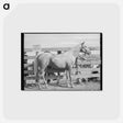 アートポストカード-Palomino Mare at Auction
 - ラッセル リー Postcard.
