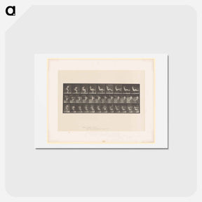 アートポストカード-Smoking Woman
 - エドワード マイブリッジ Postcard.