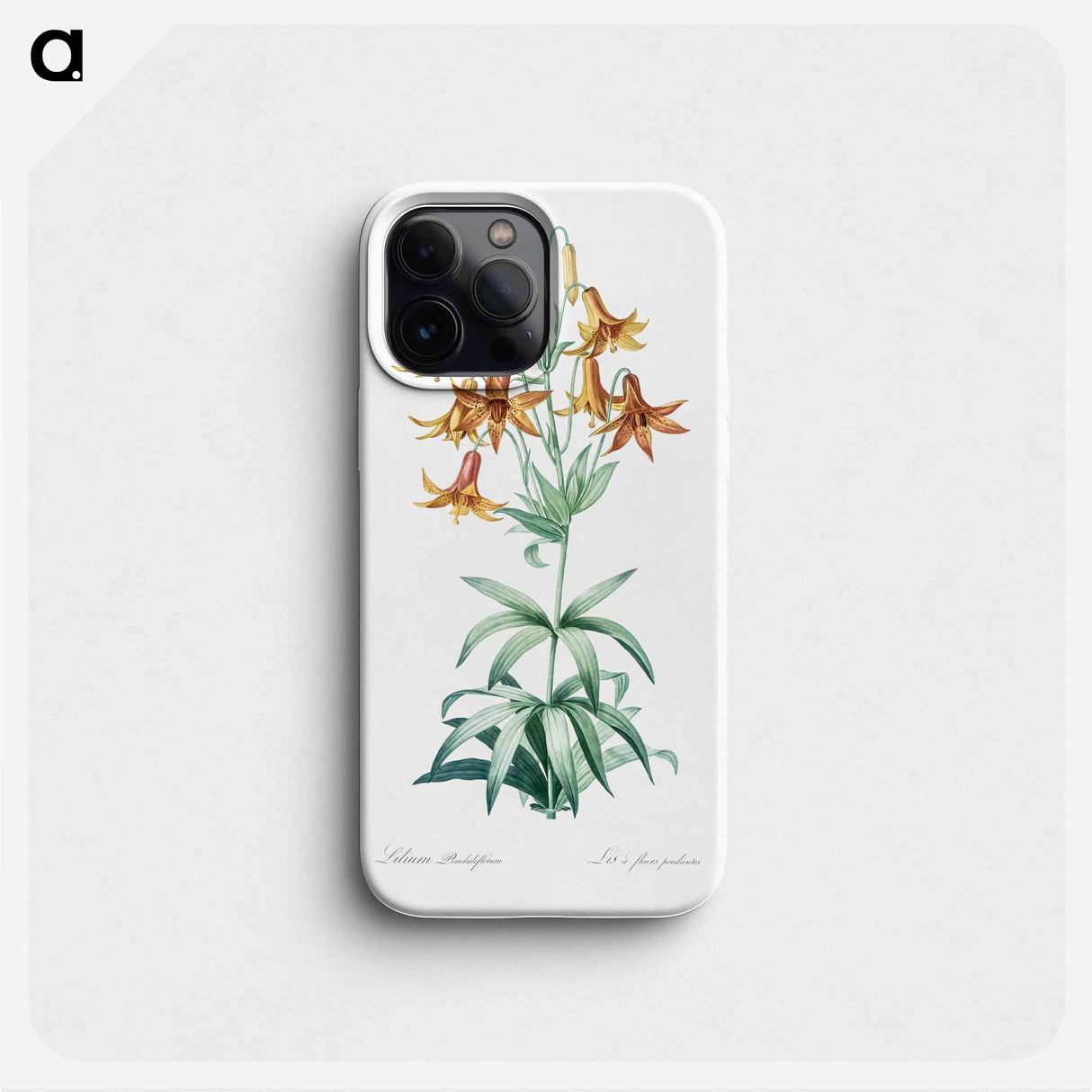 Canada lily illustration - Pierre Joseph Redouté Phone Case.