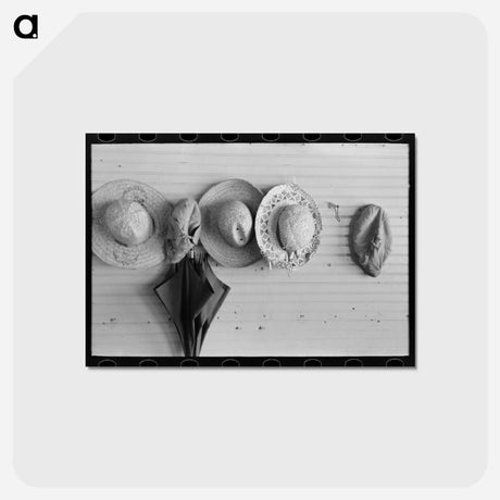 アートポストカード-Hats and Umbrella
 - ラッセル リー Postcard.