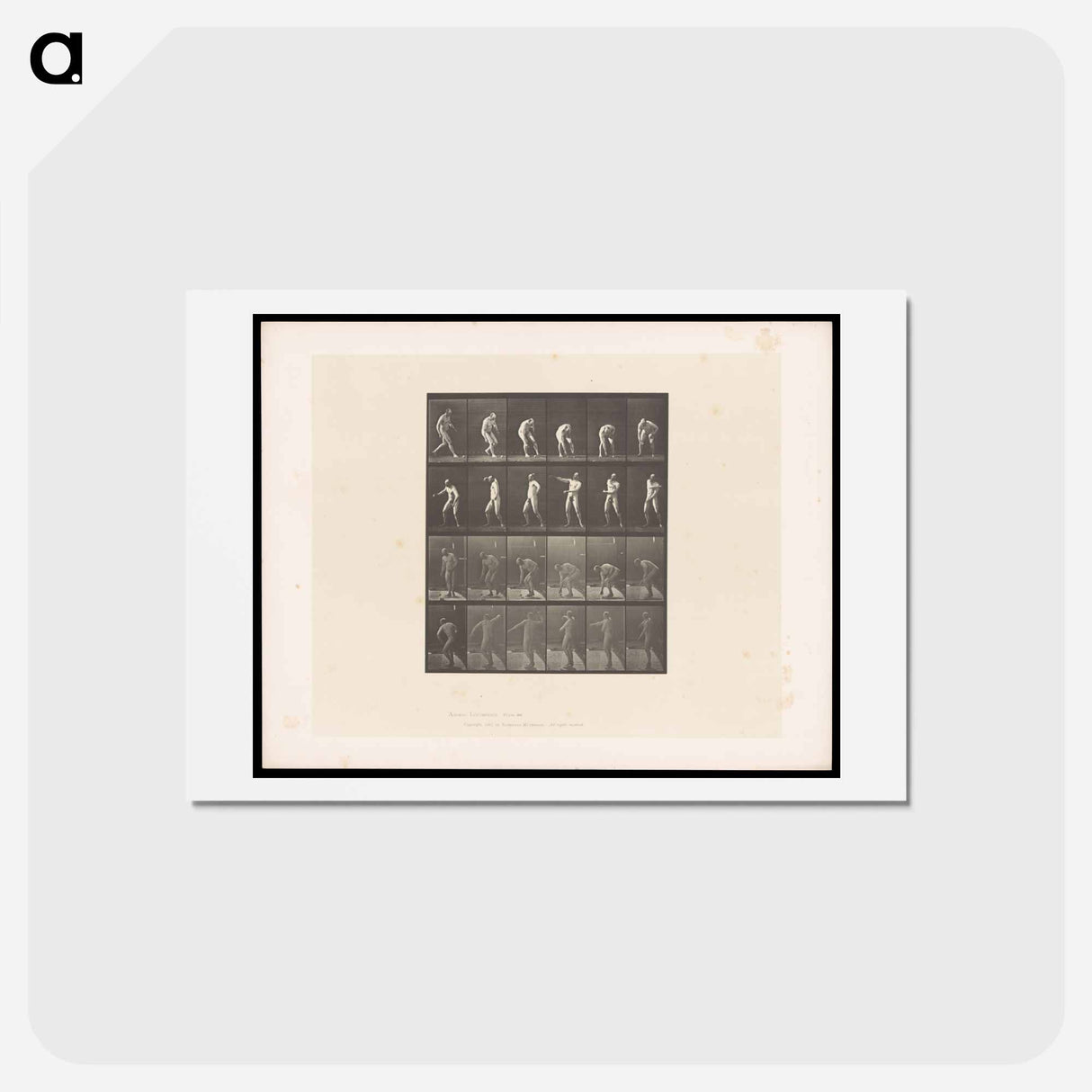 アートポストカード-The Throw
 - エドワード マイブリッジ Postcard.