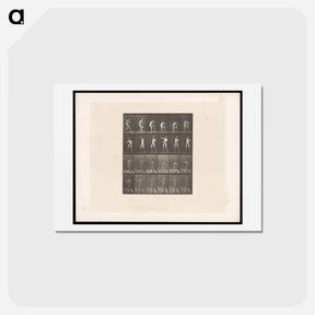 アートポストカード-The Throw
 - エドワード マイブリッジ Postcard.