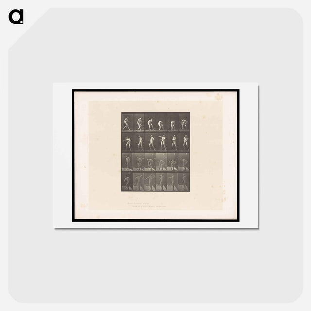 アートポストカード-The Throw
 - エドワード マイブリッジ Postcard.