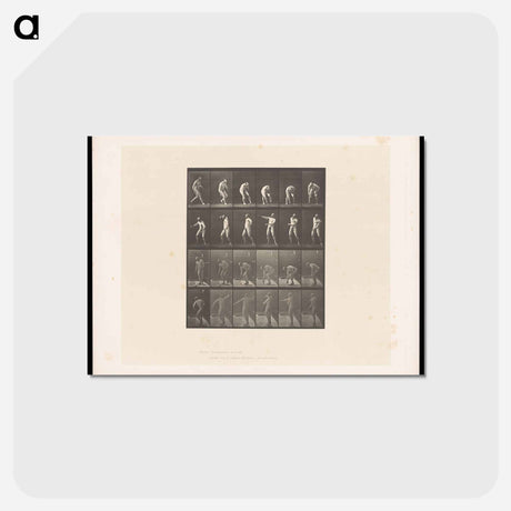 アートポストカード-The Throw
 - エドワード マイブリッジ Postcard.