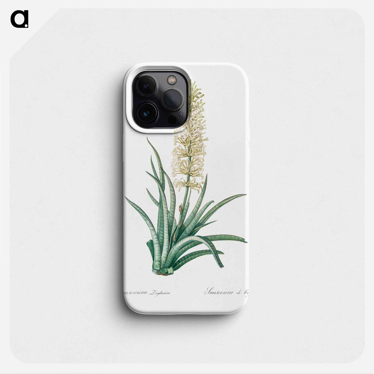 Snake plant illustration - ピエール ジョゼフ ルドゥーテ Phone Case.