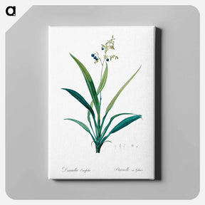 アートパネル-Flax lilies - ピエール ジョゼフ ルドゥーテ Canvas.