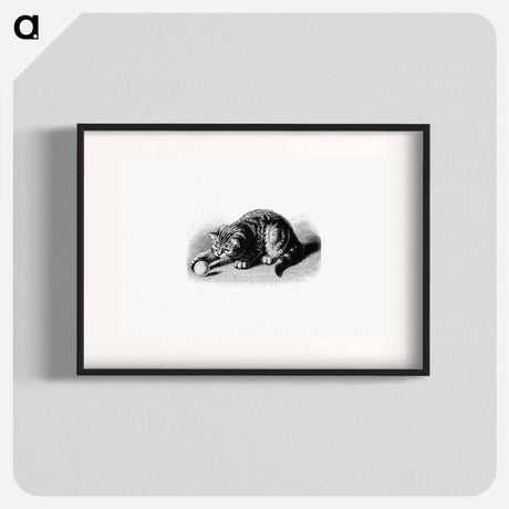 アートポスター-Playful Cat
 - 大英図書館 Poster.
