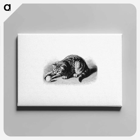アートパネル-Playful Cat
 - 大英図書館 Canvas.