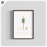 Yucca aloifolia (Aloe Yucca) - Pierre Joseph Redouté Poster.