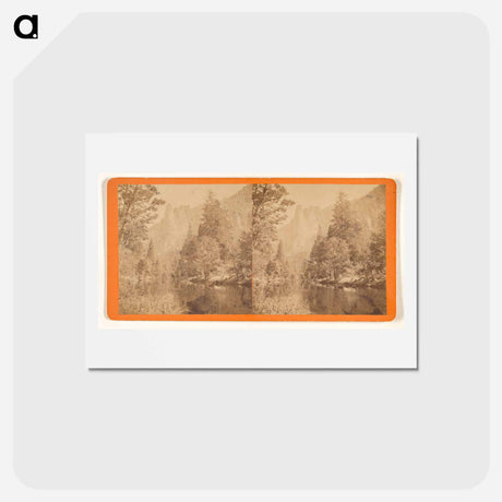アートポストカード-Loya (the Sentinel)
 - エドワード マイブリッジ Postcard.