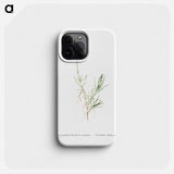 Mesembryanthemum Tenuifolium (Slender–Leaved Fig–Marigold) - Pierre-Joseph Redouté Phone Case.