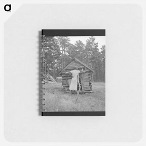 アートメモ帳-Untitled photo - ドロテア ラング Memo.