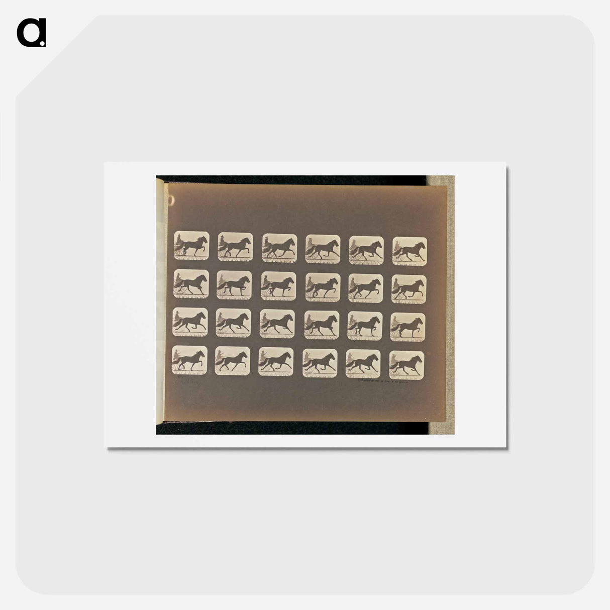アートポストカード-Trotting
 - エドワード マイブリッジ Postcard.