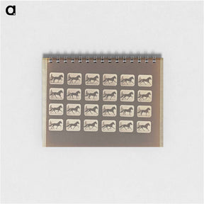アートメモ帳-Trotting
 - エドワード マイブリッジ Memo.
