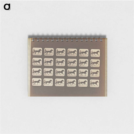 アートメモ帳-Trotting
 - エドワード マイブリッジ Memo.