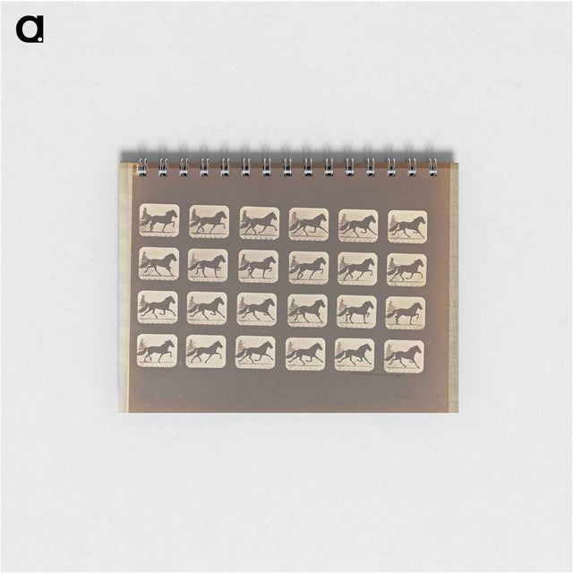 アートメモ帳-Trotting
 - エドワード マイブリッジ Memo.