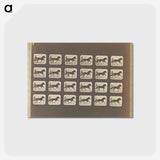 アートポストカード-Trotting
 - エドワード マイブリッジ Postcard.