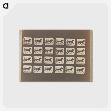 アートポストカード-Trotting
 - エドワード マイブリッジ Postcard.
